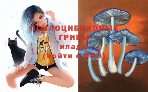 ALPHA-PVP Нязепетровск
